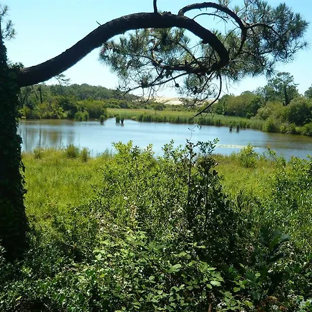 Boucau * Vieux-Boucau-les-Bains